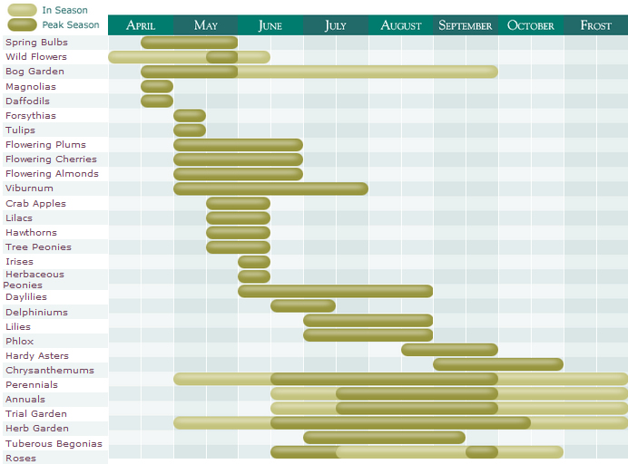 Bloom Time Chart