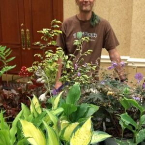 Garden Pests and Diseases - Solutions!