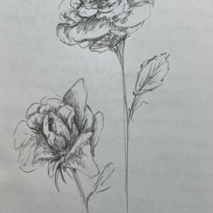 Sketching in the Rose Garden