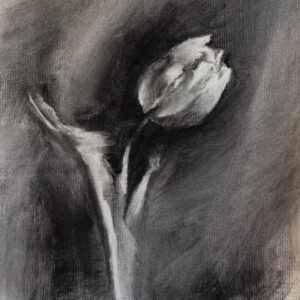 Drawing with Charcoal in the Gardens
