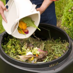 Learn About Composting